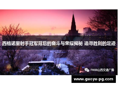 西格诺里射手冠军背后的奋斗与荣耀揭秘 追寻胜利的足迹