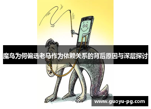 魔鸟为何偏选老马作为依赖关系的背后原因与深层探讨