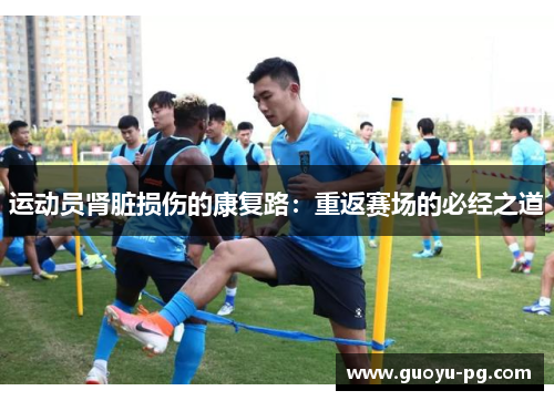 运动员肾脏损伤的康复路：重返赛场的必经之道