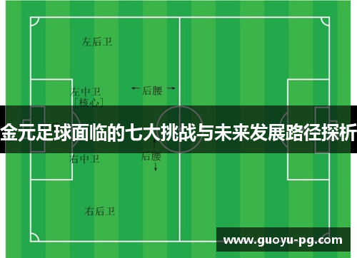 金元足球面临的七大挑战与未来发展路径探析
