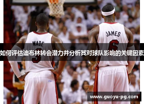 如何评估迪布林转会潜力并分析其对球队影响的关键因素