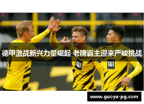 德甲激战新兴力量崛起 老牌霸主迎来严峻挑战